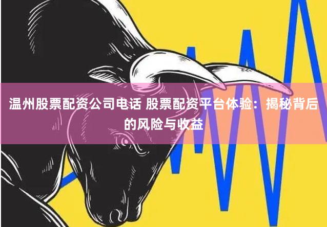 温州股票配资公司电话 股票配资平台体验：揭秘背后的风险与收益