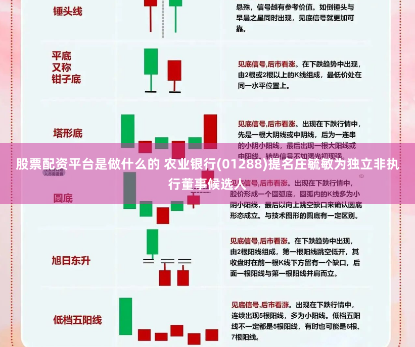 股票配资平台是做什么的 农业银行(01288)提名庄毓敏为独立非执行董事候选人