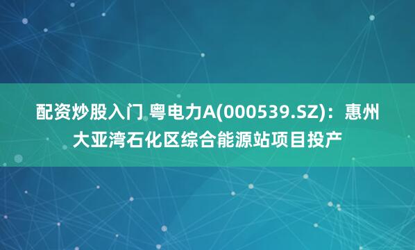 配资炒股入门 粤电力A(000539.SZ)：惠州大亚湾石化区综合能源站项目投产