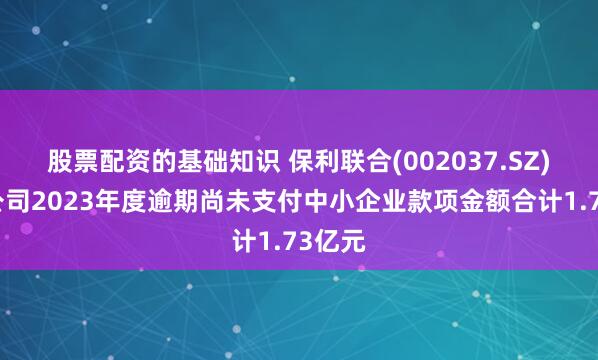 股票配资的基础知识 保利联合(002037.SZ)下属公司2023年度逾期尚未支付中小企业款项金额合计1.73亿元