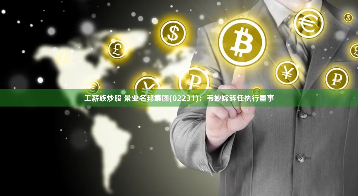 工薪族炒股 景业名邦集团(02231)：韦妙嫦辞任执行董事