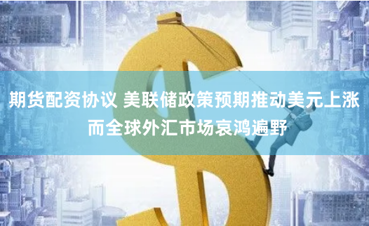 期货配资协议 美联储政策预期推动美元上涨 而全球外汇市场哀鸿遍野