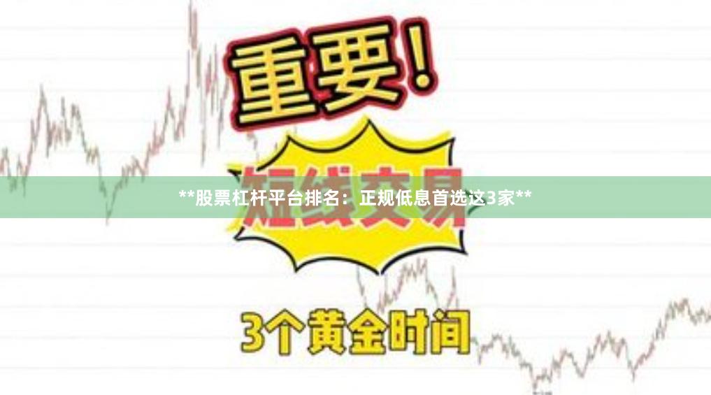 **股票杠杆平台排名:正规低息首选这3家**