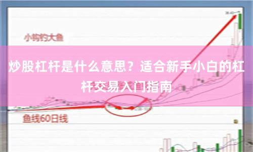 炒股杠杆是什么意思？适合新手小白的杠杆交易入门指南
